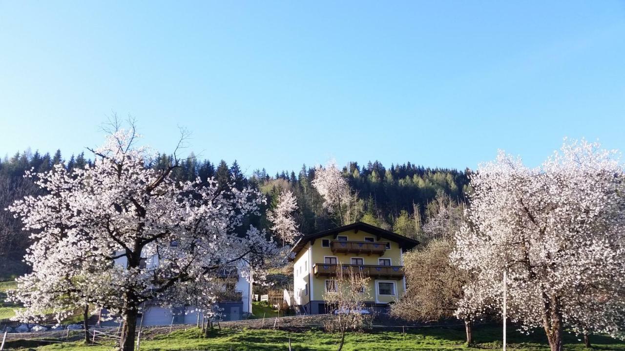 Ferienhaus Karin Bruck an der Grossglocknerstrasse Bagian luar foto